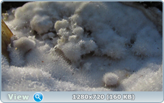 0_f3830_c31a211e_orig.png