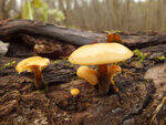 0_cc074_401947ae_S.jpg