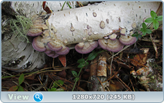 0_ea432_166bc889_orig.png