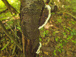 0_bc54d_3013c24f_S.jpg