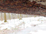 0_d371d_cf648feb_S.jpg