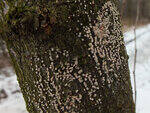 0_d39ba_75120c98_S.jpg