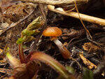 0_d3ebf_e14670a_S.jpg