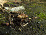 0_c23ae_3502dcb9_S.jpg