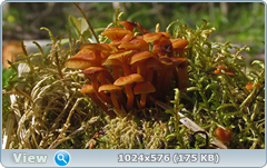 0_127ee3_fda5646d_orig.png