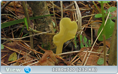 0_eab75_bf687411_orig.png
