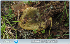 0_ef38a_b036ee99_orig.png