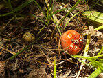 0_ae37a_c150590_S.jpg