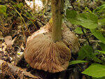 0_ae482_c7477985_S.jpg