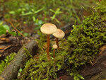 0_baa42_fe58f472_S.jpg