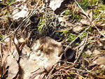 0_ba418_ce668eb3_S.jpg