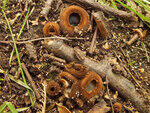 0_c23fd_5bca772a_S.jpg