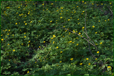 0_e1dd6_7be94d42_orig.png