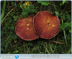 0_fb89c_c9232a09_orig.png