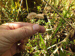 0_bb480_a686b9ef_S.jpg