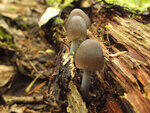 0_bb49b_5670d50d_S.jpg