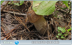 0_eaa86_4008ab7f_orig.png