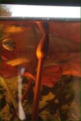 0_dfc8a_47805ae1_orig.png