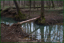 0_e0977_d3b07415_orig.png