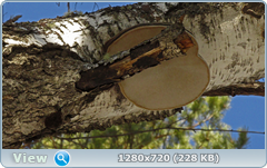 0_101340_c5f56433_orig.png