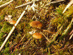 0_bb423_50916803_S.jpg