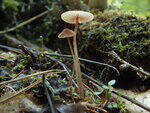 0_bb750_879f2074_S.jpg