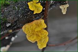 0_155627_45f3a8d5_orig.jpg