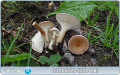 0_fb75a_808c9e0b_orig.png