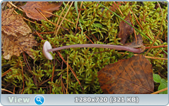 0_f27c4_9832570_orig.png