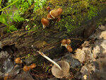 0_baa1e_eca91012_S.jpg