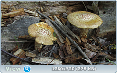 0_e936f_75f0e1cf_orig.png