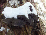 0_d3fc9_c96cb280_S.jpg