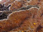 0_d3de1_4f7a7165_S.jpg