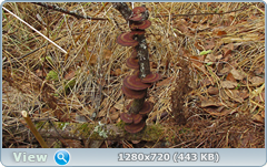 0_f5a03_dd0a4627_orig.png