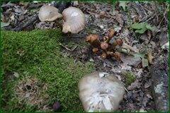 0_c2854_e50f7ca_orig.jpg