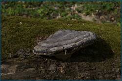 0_ccfe5_d038bf76_orig.jpg