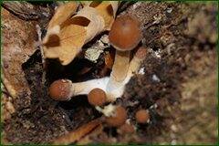0_c288e_415bc850_orig.jpg