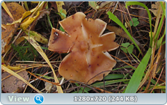 0_f30db_17edbb05_orig.png