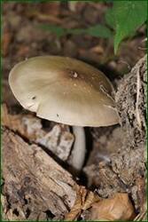 0_c12ef_d65a71c6_orig.jpg