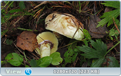 0_eaaa4_40277912_orig.png