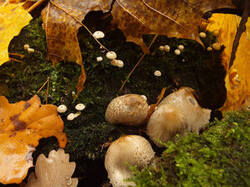 0_c4b2c_262c981_M.jpg
