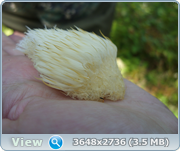 0_13123d_3869498c_orig.png
