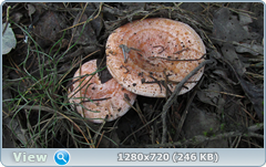 0_fba10_5014a932_orig.png