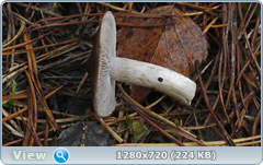 0_f2774_4d4accdd_orig.png