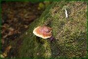 0_c12cd_5932576f_orig.jpg