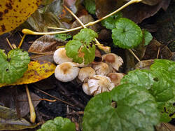 0_c4b07_458d09e9_M.jpg