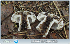 0_e9361_9ac5cabe_orig.png