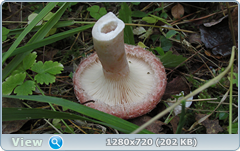 0_ef37a_21413f1e_orig.png