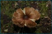 0_d2555_a6408bc5_orig.jpg
