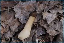 0_cc96a_cc5d80c0_orig.jpg